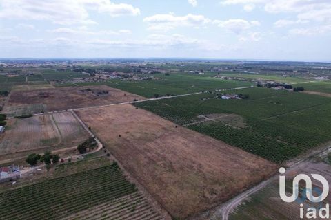 Terra a Palmela, Setubal, Palmela - € 368.000 | Ref: 735557 - foto 14