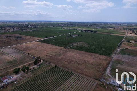 Terra a Palmela, Setubal, Palmela - € 368.000 | Ref: 735557 - foto 15