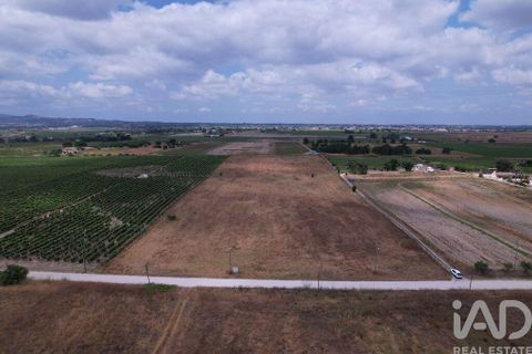 Terra a Palmela, Setubal, Palmela - € 368.000 | Ref: 735557 - foto 16