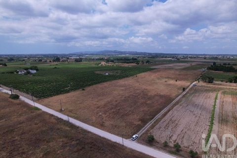 Terra a Palmela, Setubal, Palmela - € 368.000 | Ref: 735557 - foto 17