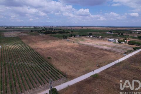 Terra a Palmela, Setubal, Palmela - € 368.000 | Ref: 735557 - foto 18