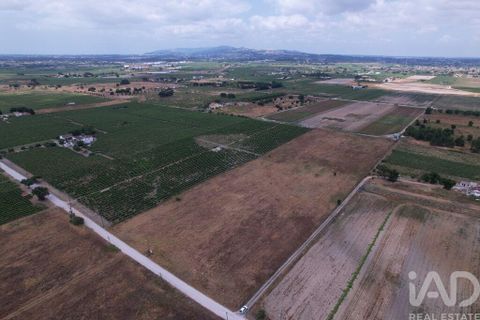 Terra a Palmela, Setubal, Palmela - € 368.000 | Ref: 735557 - foto 19