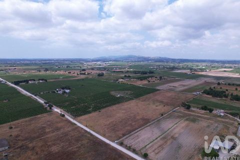 Terra a Palmela, Setubal, Palmela - € 368.000 | Ref: 735557 - foto 21
