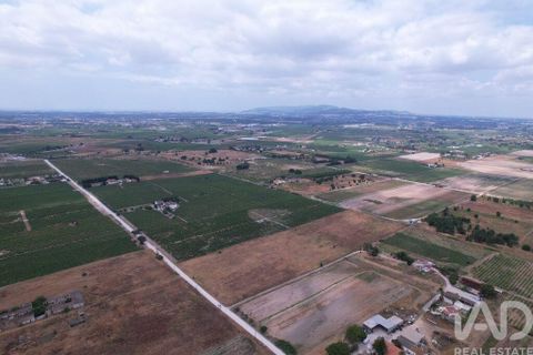 Terra a Palmela, Setubal, Palmela - € 368.000 | Ref: 735557 - foto 22