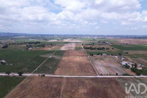 Terra a Palmela, Setubal, Palmela - € 368.000 | Ref: 735557 - foto 23