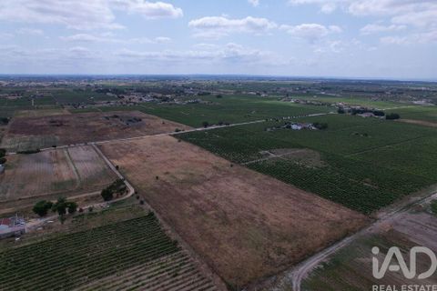 Terra a Palmela, Setubal, Palmela - € 368.000 | Ref: 735557 - foto 24