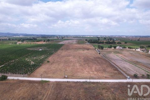 Terra a Palmela, Setubal, Palmela - € 368.000 | Ref: 735557 - foto 26