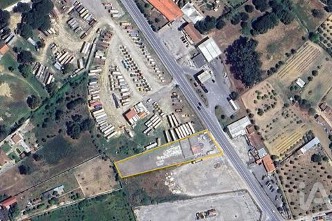 Erhvervsejendom i Azambuja, Lisbon, Azambuja - € 249.000 | Ref: 151680 - foto 19