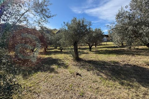 Villa a Roccasecca, Frosinone, Roccasecca - € 190.000 | Ref: AC99-149-1679 - foto 48