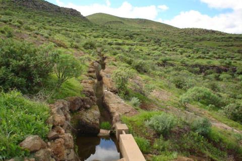 Landejendom i Telde, Gran Canaria, Telde - € 220.000 | Ref: NW-BO-TLDTR - foto 16