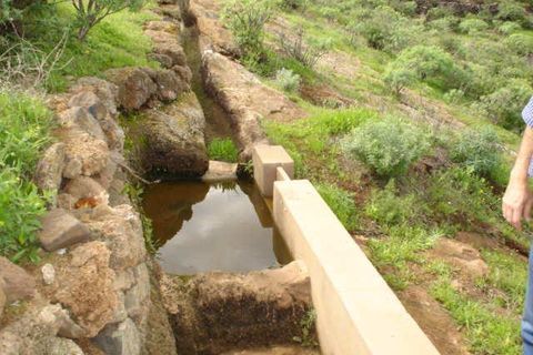 Landejendom i Telde, Gran Canaria, Telde - € 220.000 | Ref: NW-BO-TLDTR - foto 17