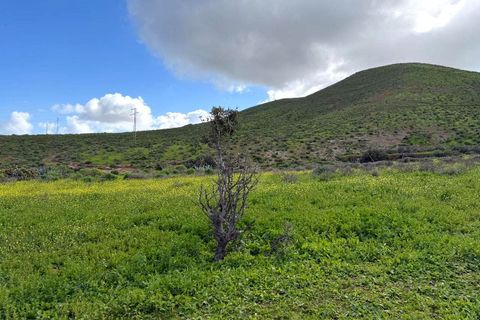 Landejendom i Telde, Gran Canaria, Telde - € 220.000 | Ref: NW-BO-TLDTR - foto 8