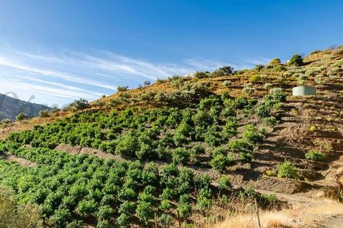 Villa i Competa, Malaga, Competa - € 450.000 | Ref: CP761 - foto 13