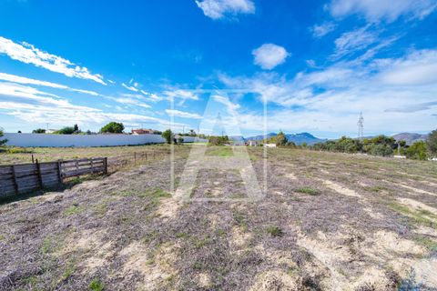 Terra a Benissa, Alicante, Benissa - € 320.000 | Ref: PBS0082 - foto 6