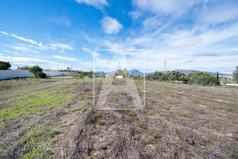 Terra a Benissa, Alicante, Benissa - € 320.000 | Ref: PBS0082 - foto 10