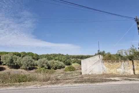 Byhus i Rio Maior, Santarem, Rio Maior - € 89.000 | Ref: 151373 - foto 5