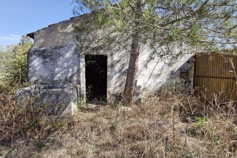 Byhus i Rio Maior, Santarem, Rio Maior - € 89.000 | Ref: 151373 - foto 2