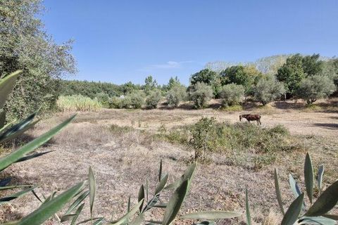 Byhus i Rio Maior, Santarem, Rio Maior - € 89.000 | Ref: 151373 - foto 11