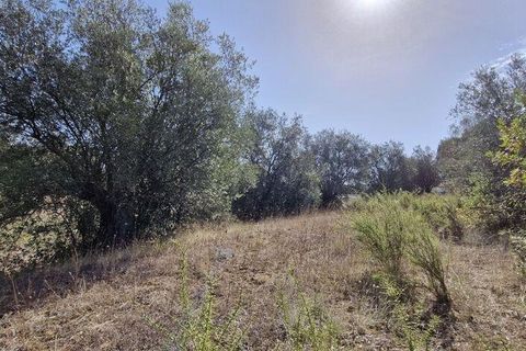 Byhus i Rio Maior, Santarem, Rio Maior - € 89.000 | Ref: 151373 - foto 12