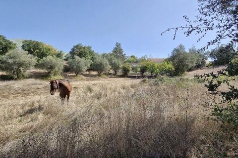 Byhus i Rio Maior, Santarem, Rio Maior - € 89.000 | Ref: 151373 - foto 10