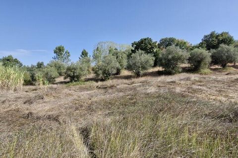 Byhus i Rio Maior, Santarem, Rio Maior - € 89.000 | Ref: 151373 - foto 15