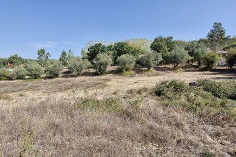 Byhus i Rio Maior, Santarem, Rio Maior - € 89.000 | Ref: 151373 - foto 16