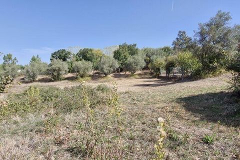 Byhus i Rio Maior, Santarem, Rio Maior - € 89.000 | Ref: 151373 - foto 17