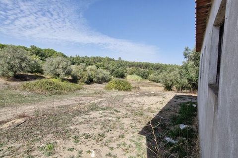 Byhus i Rio Maior, Santarem, Rio Maior - € 89.000 | Ref: 151373 - foto 18