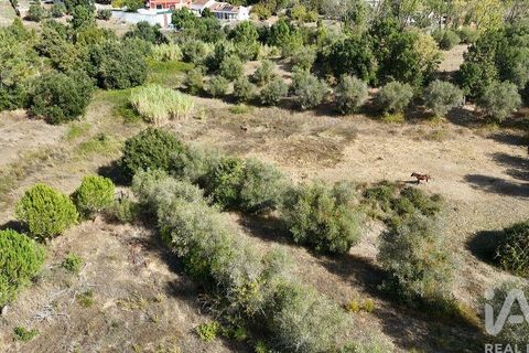 Byhus i Rio Maior, Santarem, Rio Maior - € 89.000 | Ref: 151373 - foto 19