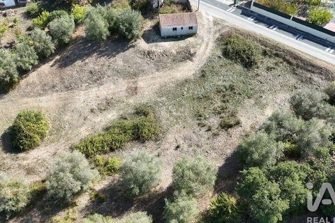 Byhus i Rio Maior, Santarem, Rio Maior - € 89.000 | Ref: 151373 - foto 20