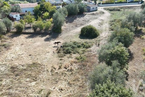 Byhus i Rio Maior, Santarem, Rio Maior - € 89.000 | Ref: 151373 - foto 22