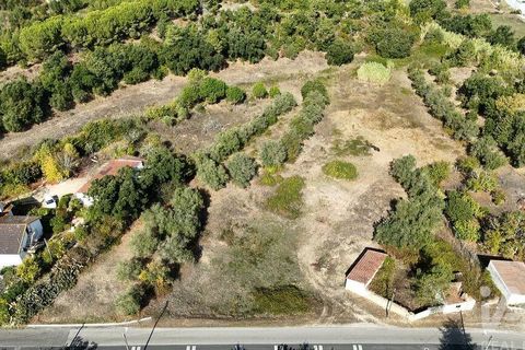 Byhus i Rio Maior, Santarem, Rio Maior - € 89.000 | Ref: 151373 - foto 23