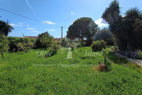 Villa i Inca, Mallorca, Inca - € 649.500 | Ref: INC586 - foto 14