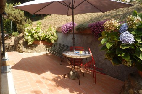 Landejendom i Capannori, Lucca, Capannori - € 1.290.000 | Ref: 1070 - foto 15