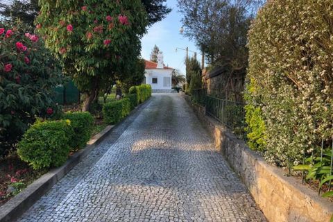 Rækkehus i Vila Nova de Gaia, Porto, Vila Nova de Gaia - € 1.000.000 | Ref: 397447 - foto 12