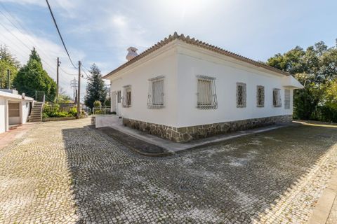 Rækkehus i Vila Nova de Gaia, Porto, Vila Nova de Gaia - € 1.000.000 | Ref: 397447 - foto 27