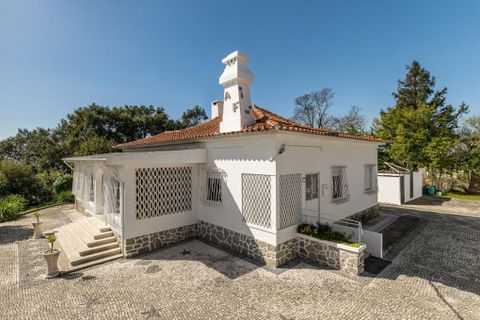 Rækkehus i Vila Nova de Gaia, Porto, Vila Nova de Gaia - € 1.000.000 | Ref: 397447 - foto 26