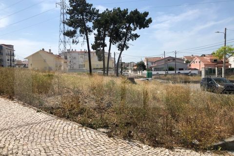 Helårsgrund i Quinta do Conde, Setubal, Quinta do Conde - € 85.000 | Ref: 313.017.001 - foto 5