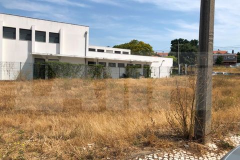 Helårsgrund i Quinta do Conde, Setubal, Quinta do Conde - € 85.000 | Ref: 313.017.001 - foto 7