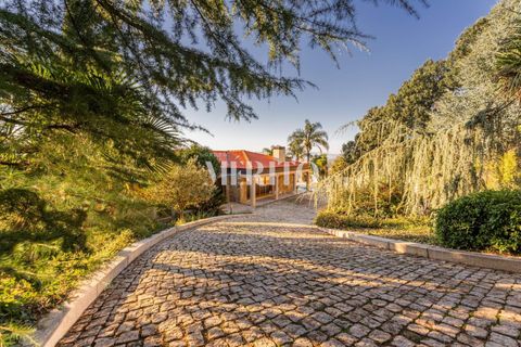 Byhus i Barcelos, Braga, Barcelos - € 649.000 | Ref: MIBC-E/0204 - foto 2