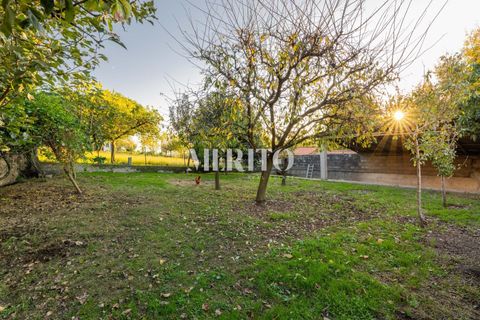 Byhus i Barcelos, Braga, Barcelos - € 649.000 | Ref: MIBC-E/0204 - foto 42