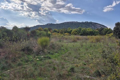 Terreno en Cabasse, Var, Cabasse - € 68.500 | Ref: 412833MRH12MRH - photo 3