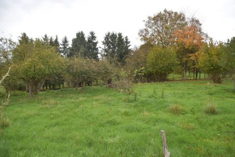 Helårsgrund i Cheppy, Meuse, Cheppy - € 31.790 | Ref: 426219MTR - foto 2