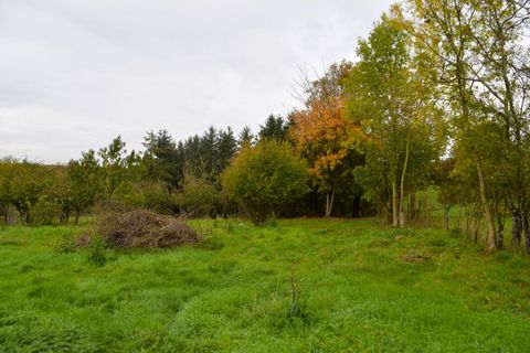 Helårsgrund i Cheppy, Meuse, Cheppy - € 31.790 | Ref: 426219MTR - foto 3