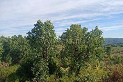 Helårsgrund i Macao, Santarem, Macao - € 11.000 | Ref: 102250203 - foto 2
