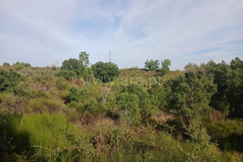 Helårsgrund i Macao, Santarem, Macao - € 11.000 | Ref: 102250203 - foto 3