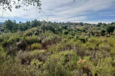 Helårsgrund i Macao, Santarem, Macao - € 11.000 | Ref: 102250203 - foto 4