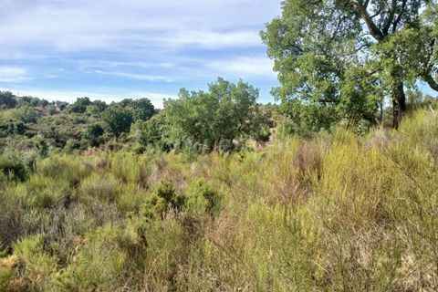 Helårsgrund i Macao, Santarem, Macao - € 11.000 | Ref: 102250203 - foto 5