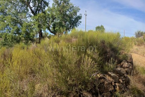 Helårsgrund i Macao, Santarem, Macao - € 11.000 | Ref: 102250203 - foto 6