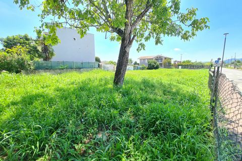 Terra a Abano Terme, Padua, Abano Terme - € 285.000 | Ref: 922 - foto 13